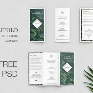 Free Minimalistic Trifold Brochure Mockup (PSD)